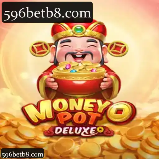 MoneyPotDELUXE